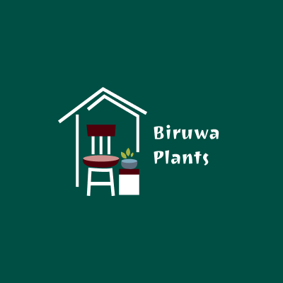 Birwua Plants